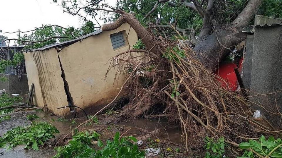 An image of the destruction left by hurricane Idalia in Sandino, a municipality in Pinar del Río, Cuba.