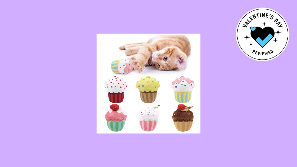 Best gifts to give your pet for Valentine's Day: Cupcake animals