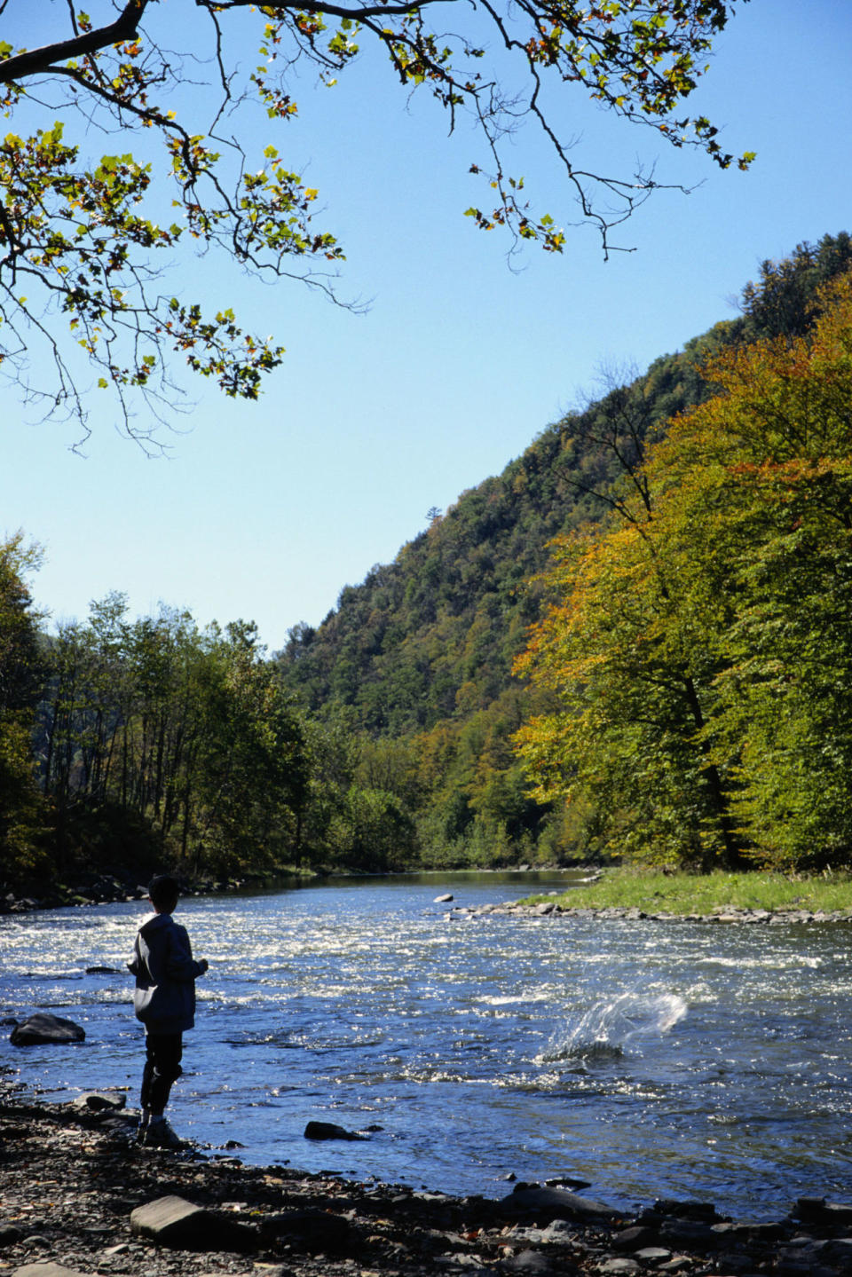 Pine Creek Gorge, Pennsylvania