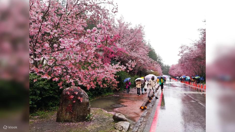 Taichung Wuling Farm Day Tour from Taipei. (Photo: Klook SG)