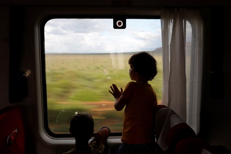 The Wider Image: Some Kenyans say Chinese-built railway leaves them in the dust