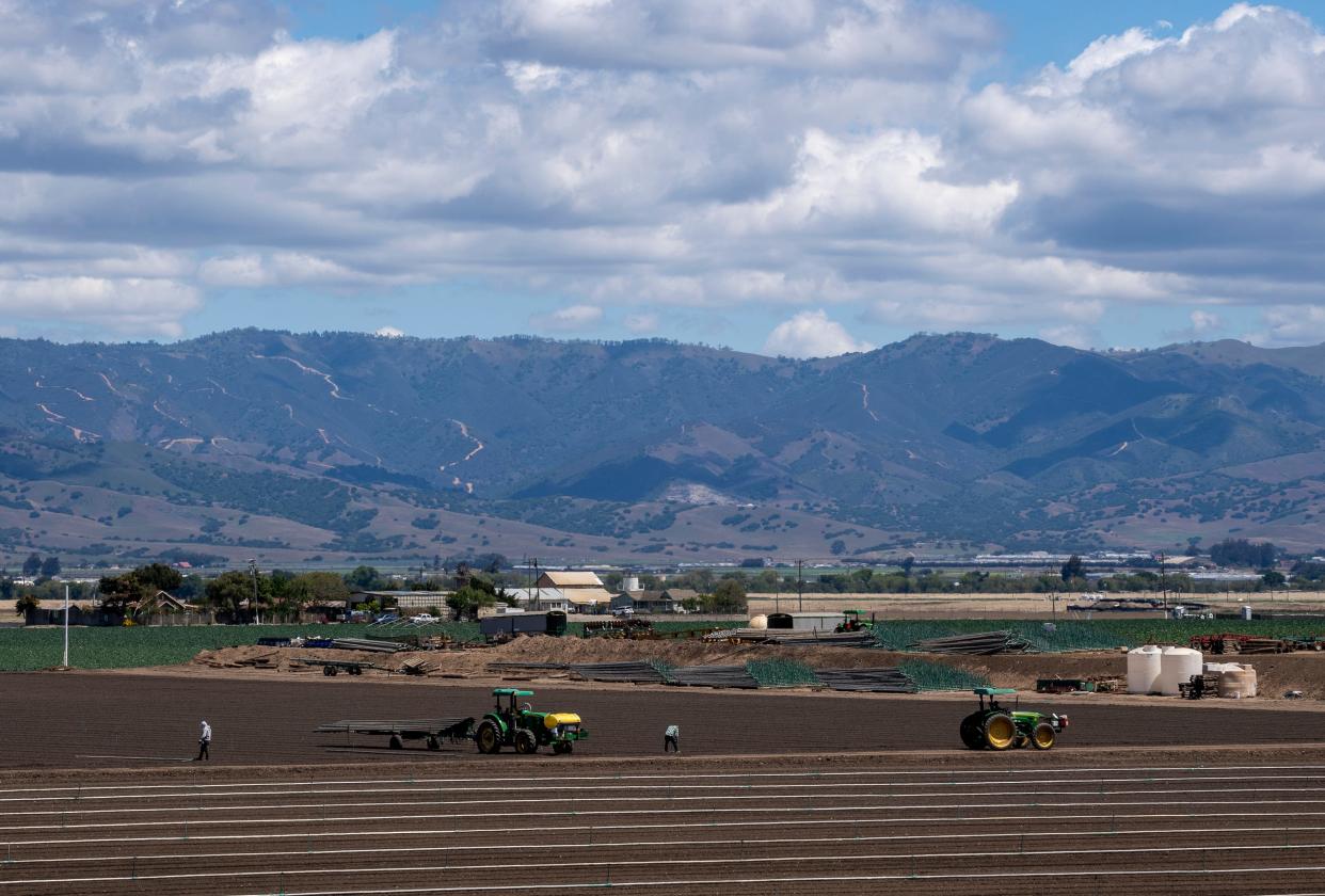 Los trabajadores agrícolas atienden los campos en un día claro y nublado en Salinas, California, el lunes 26 de abril de 2021.