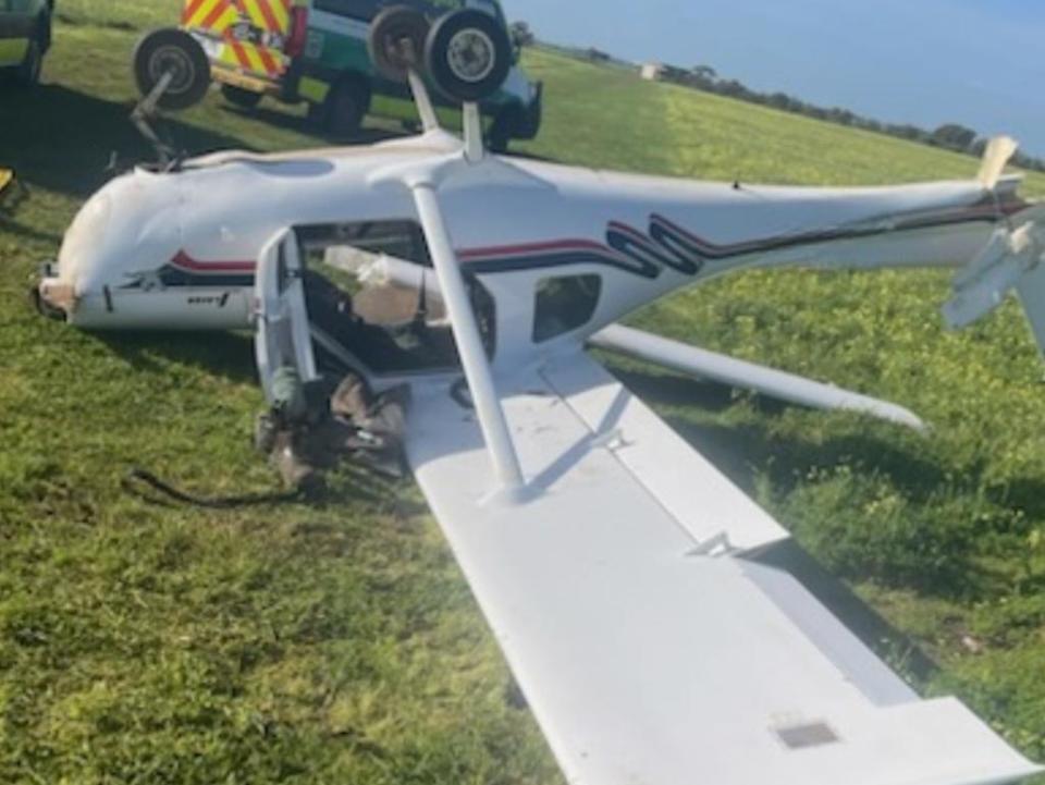 light plane crashed after hitting horse on take off