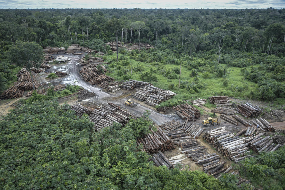 This May 8, 2018 photo released by the Brazilian Environmental and Renewable Natural Resources Institute (Ibama) shows an illegally deforested area on Pirititi indigenous lands as Ibama agents inspect Roraima state in Brazil's Amazon basin. Scientists warn that Brazil's President-elect Jair Bolsonaro could push the Amazon rainforest past its tipping point by loosening environmental protections, with severe consequences for global climate and rainfall. (Felipe Werneck/Ibama via AP)