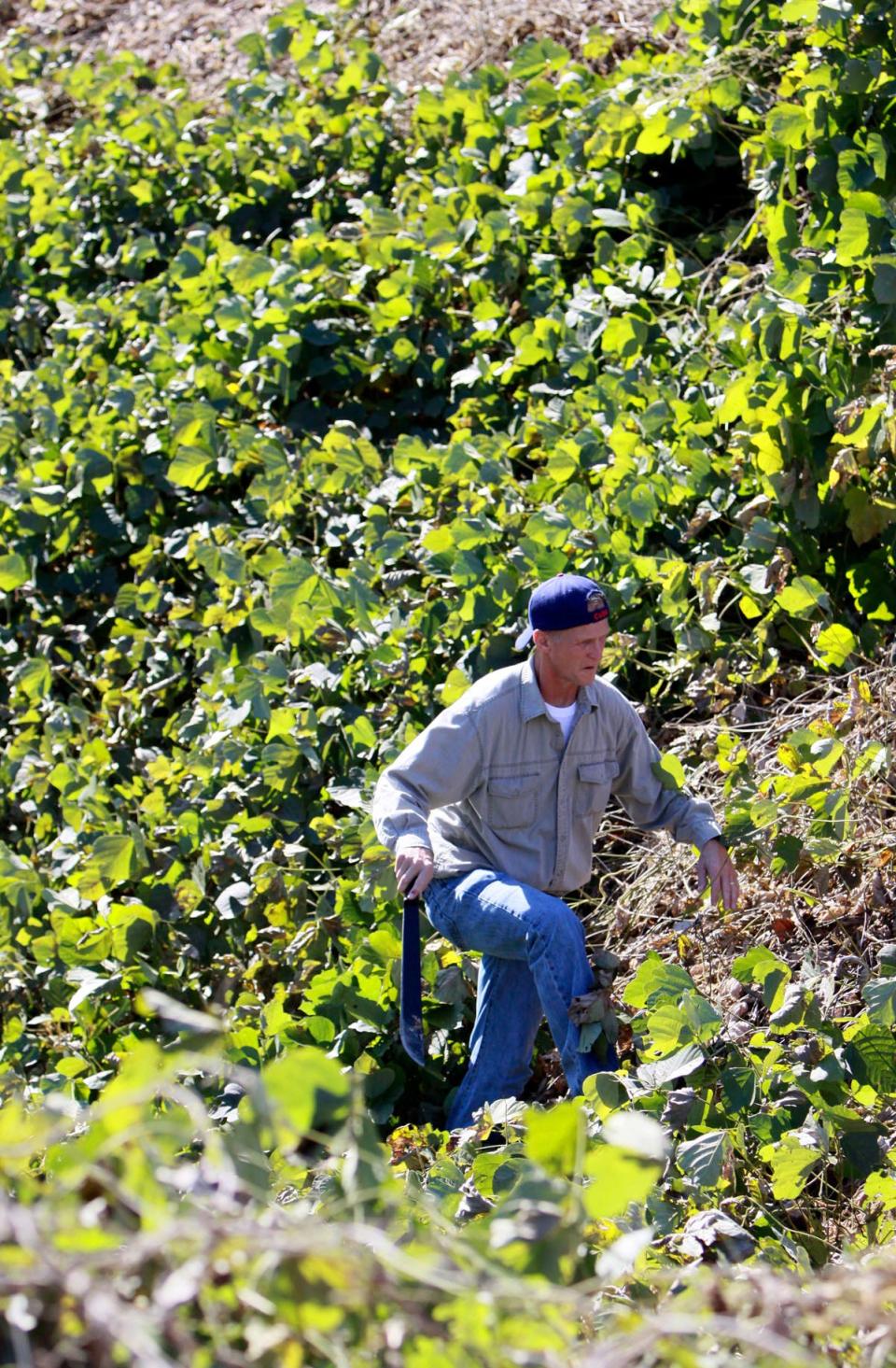 A Lee County man searches for the missing Shaniya Davis at the intersection of NC 87 and  Walker Road in Lee County on Nov. 16, 2009.