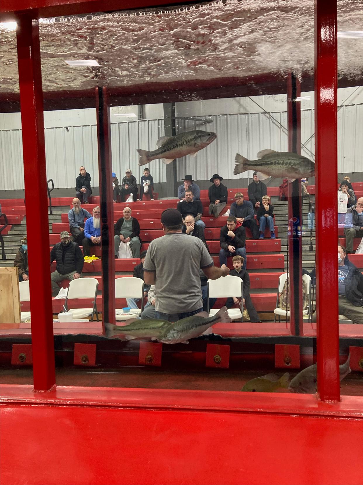 This photo, looking through the Hawg Trough fish tank at the Northeast Ohio Sportsman Show, shows Doug Stewart during his seminar on crappie fishing.