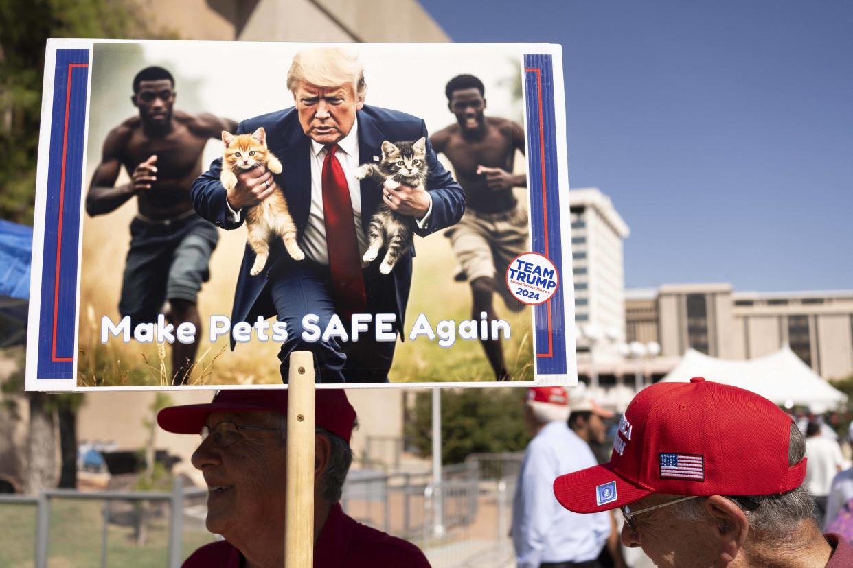 Un homme tient une image générée par l'IA de Donald Trump emmenant des chats loin des immigrants haïtiens, à Tucson, en Arizona, le 12 septembre 2024.