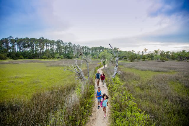 <p>Courtesy of Georgia State Parks</p>