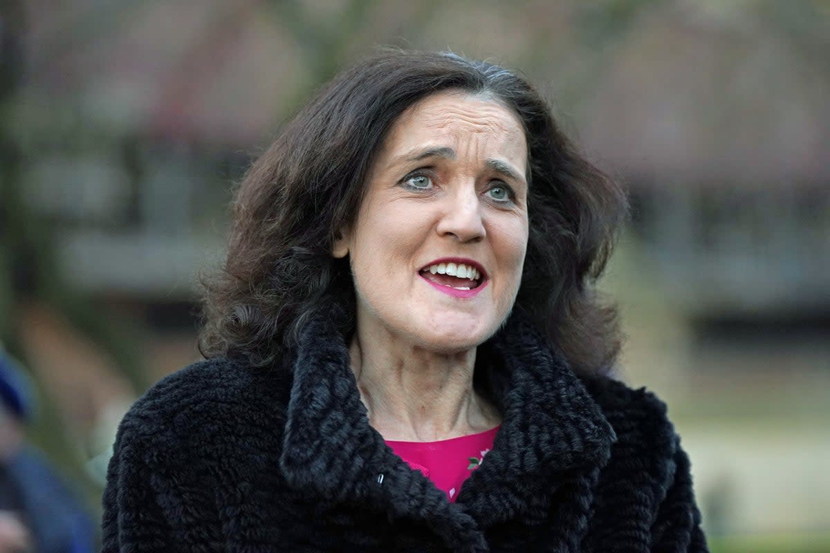 Conservative MP Theresa Villiers (Yui Mok/PA) (PA Wire)