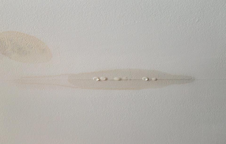 Water dripping through a stain on ceiling.