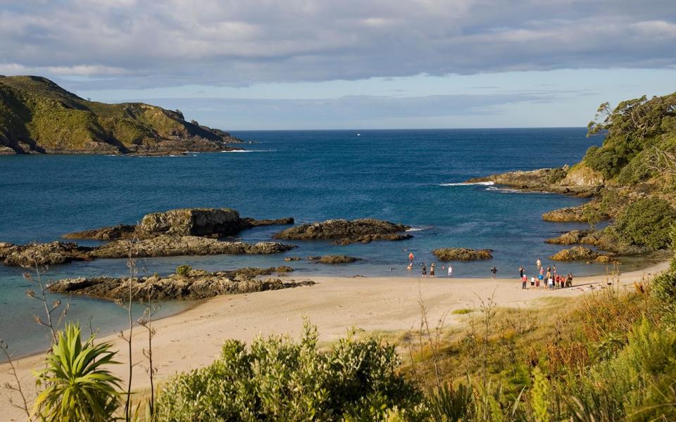 Maitai Bay, Northland