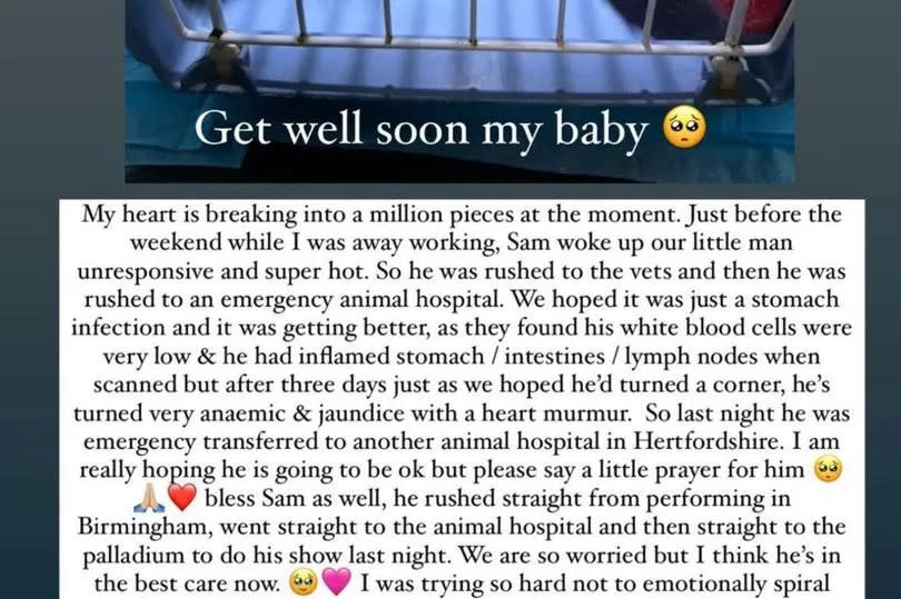 Zara was heartbroken over her cat's ill health -Credit:Zara McDermott Instagram