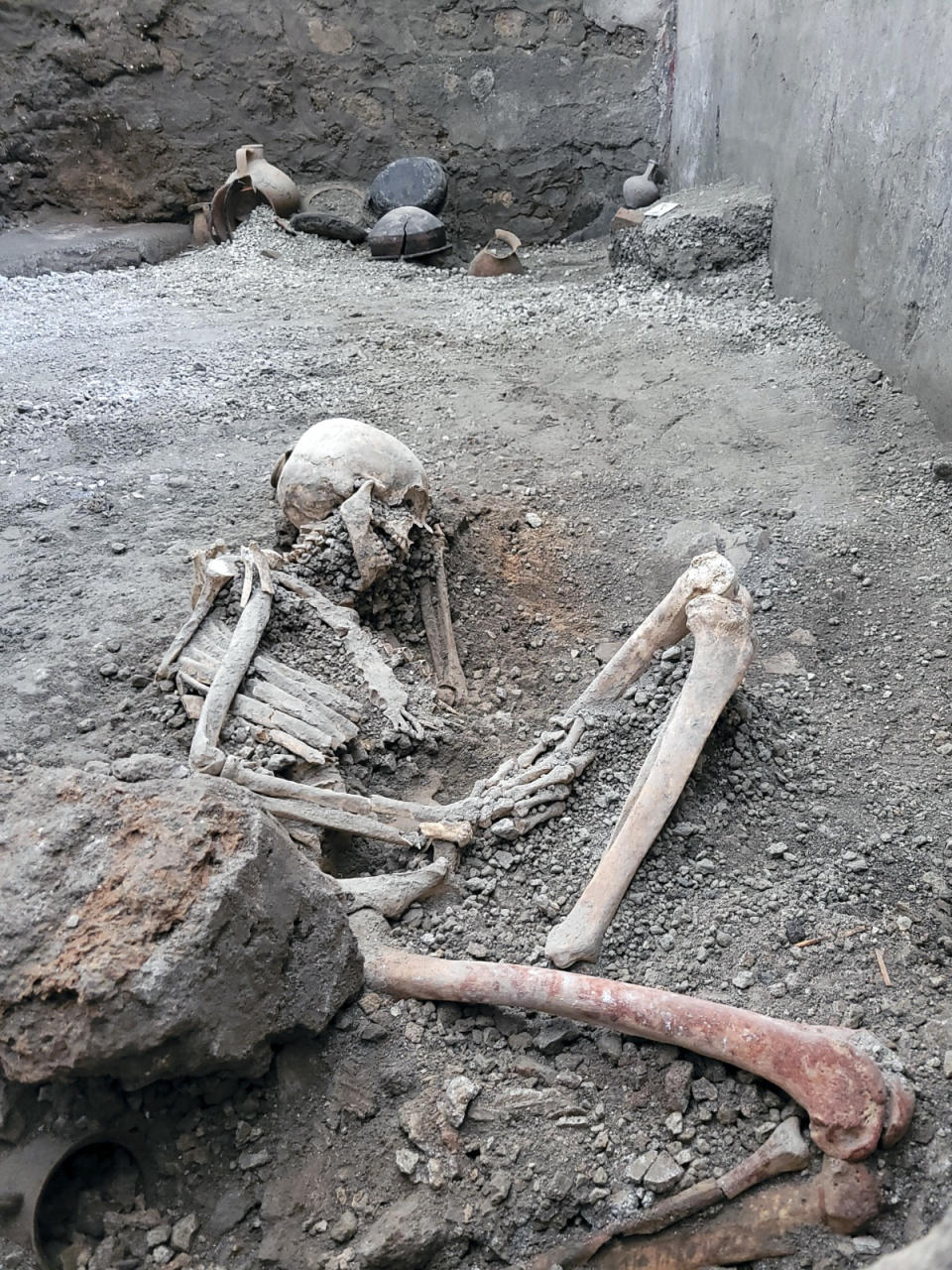 A picture made available Tuesday, May 16, 2023 by the Pompeii Archeological Park press office, showing one of the two discovered skeletons that archeologists believe were men who died when a wall collapsed on them during the powerful earthquakes that accompanied the eruption of Mount Vesuvius that destroyed the ancient city of Pompeii in 79 A.D. The two skeletons were found in the insula of the Casti Amanti, beneath a wall that collapsed before the area was covered in volcanic material. (Pompeii Archeological Park via AP)