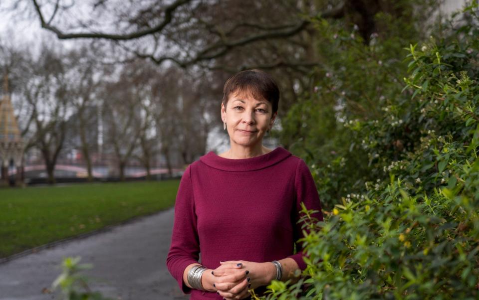 Caroline Lucas, outgoing MP for Brighton Pavilion and author of Another England