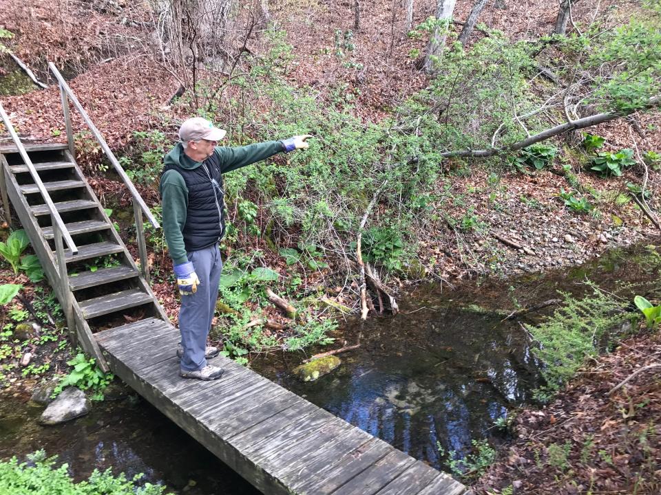 Bill McCusker, a member of the Charlestown Land Trust board, points to the fish runs that were built to raise rainbow trout in the hatchery.