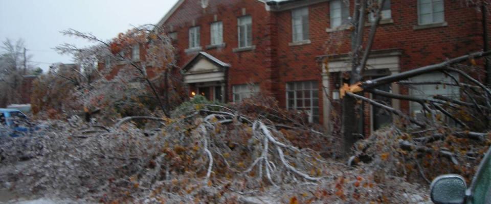 Oklahoma City Ice Storm Aftermath. 2007