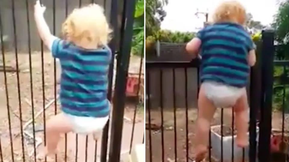 Brodie makes quick work of climbing over the fence. Source: 7 News