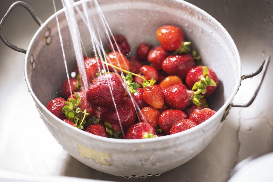 Fresh strawberries in a colander, washed with water