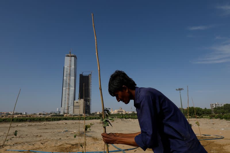 The Wider Image: Pakistanis plant trees to provide relief from scorching sun