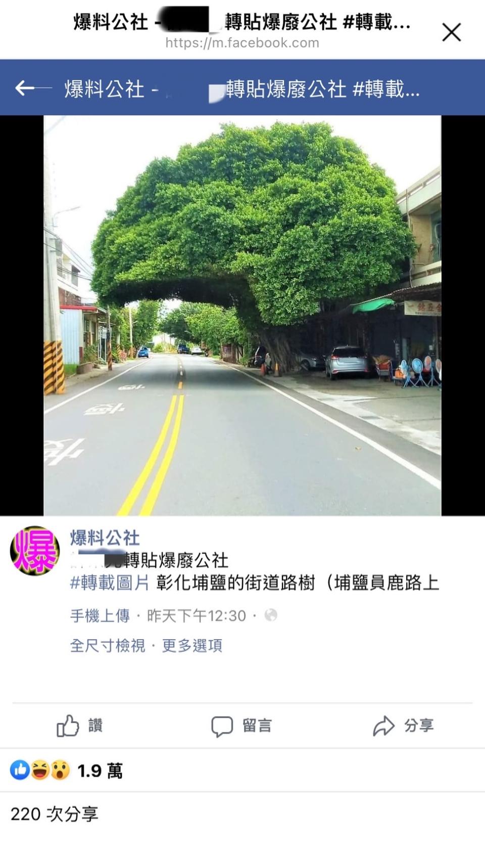 彰化埔鹽員鹿路出現「安全帽樹」。（圖／翻攝自「爆廢公社」臉書）