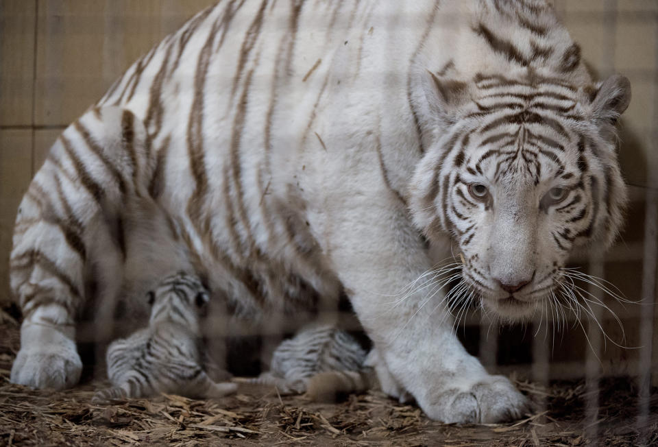 Photos of the day - September 23, 2016