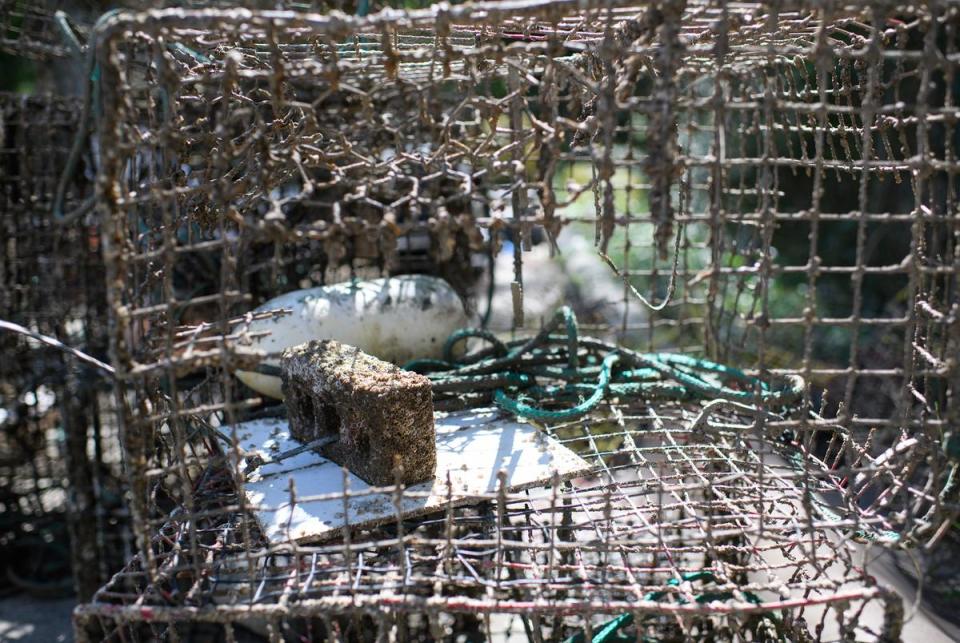 Houston, Texas: A crab trap used for the oyster spat tile experiment October 13, 2023 at a research facility in Houston, Texas. Mark Felix/The Texas Tribune