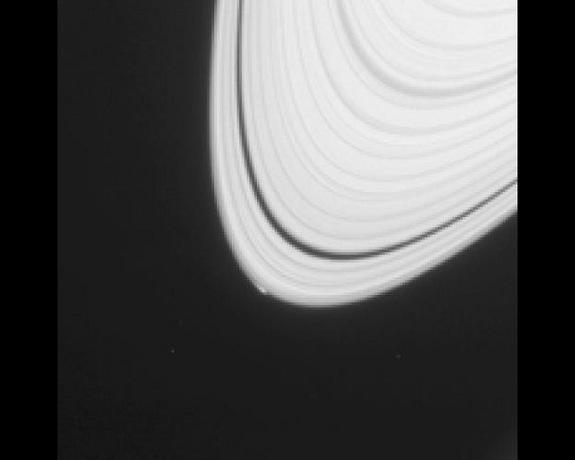 The disturbance visible at the outer edge of Saturn's A ring in this image from NASA's Cassini spacecraft could be caused by an object replaying the birth process of icy moons.