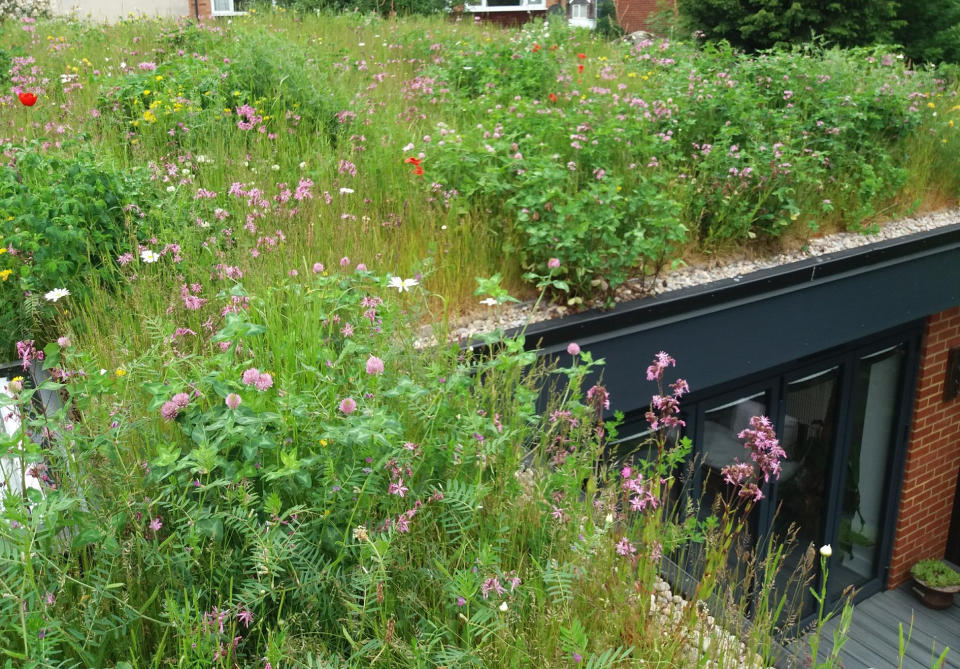15. GO FOR A GREEN ROOF AS PART OF YOUR WILDLIFE GARDEN IDEAS