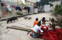 <p>Pigs walk past children playing outside a home in the Mangueira favela in Rio de Janeiro, May 2, 2017. (Photo: Mario Tama/Getty Images) </p>