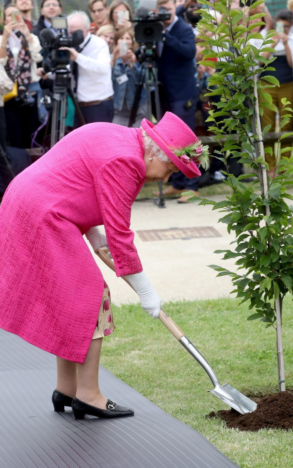 Queen Elizabeth plants a tree during a visit to the National Institute of Agricultural Botany on July 9, 2019 - Chris Jackson/Getty Images