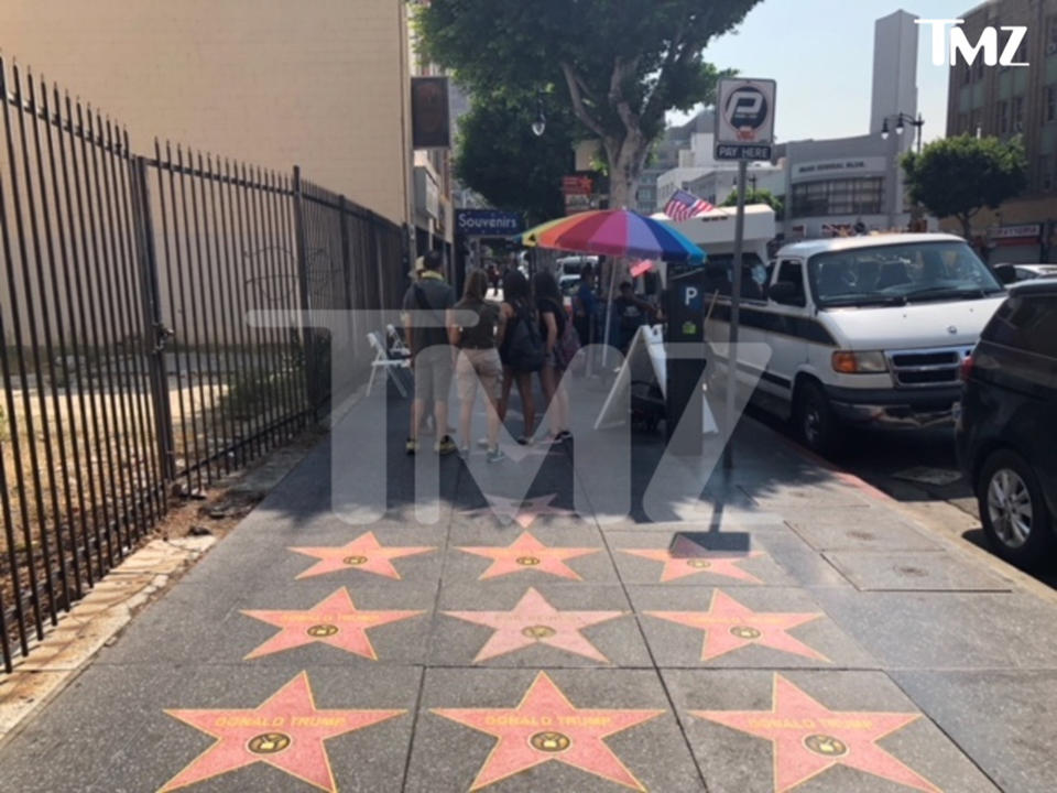 (Photo: Courtesy of <a href="http://www.tmz.com/2018/08/09/fake-donald-trump-stars-all-over-hollywood-blvd-walk-of-fame/" rel="nofollow noopener" target="_blank" data-ylk="slk:TMZ;elm:context_link;itc:0;sec:content-canvas" class="link ">TMZ</a>)