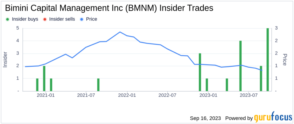 Insider Buying: Haas G Hunter IV Acquires 9,354 Shares of Bimini Capital Management Inc