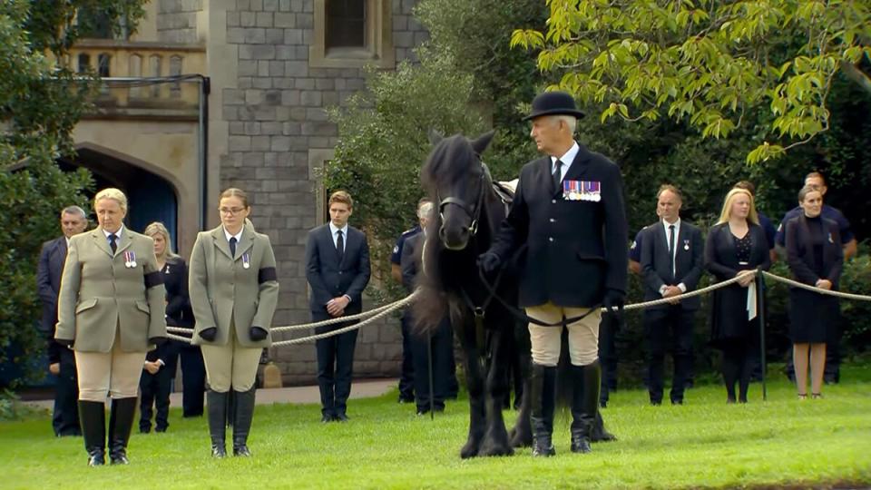 Queen Elizabeth II Funeral - horse Emma