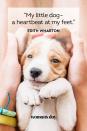 <p>“My little dog – a heartbeat at my feet.”</p>