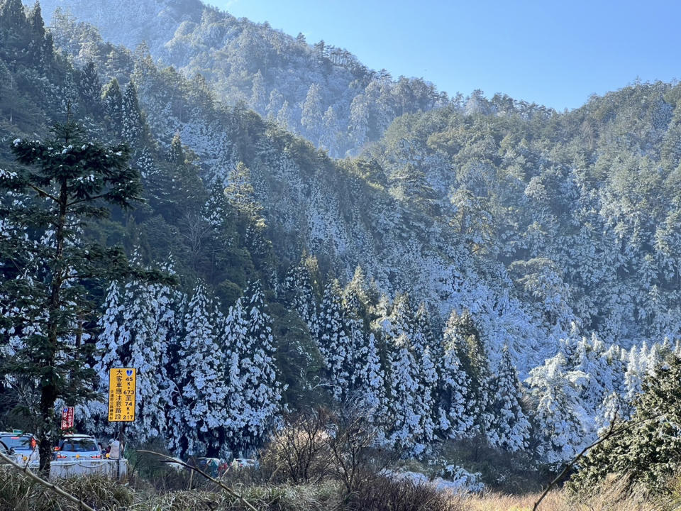 武陵農場27日晚上大約下了2小時瑞雪，28日山頭因為霧淞加上白雪，放眼望去，形成一片冰雪銀白世界。（武陵農場提供）
