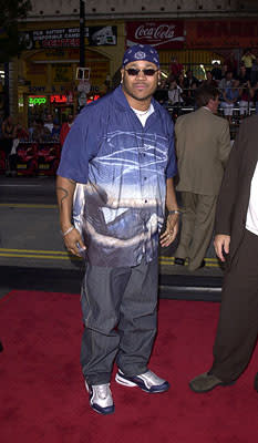 LL Cool J at the Hollywood premiere of Warner Brothers' Driven