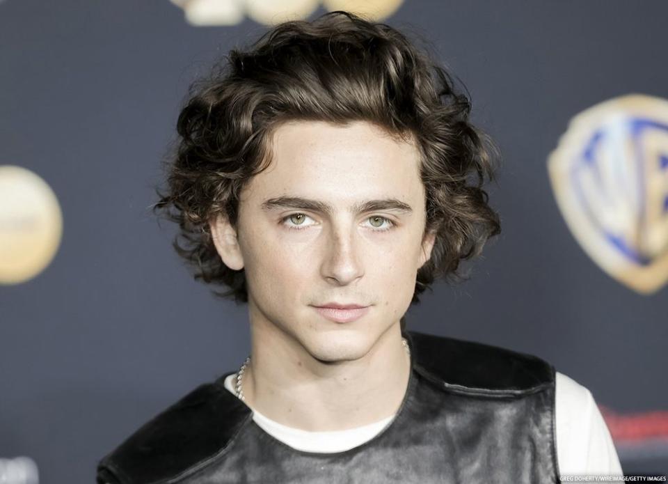 Timoth\u00e9e Chalamet