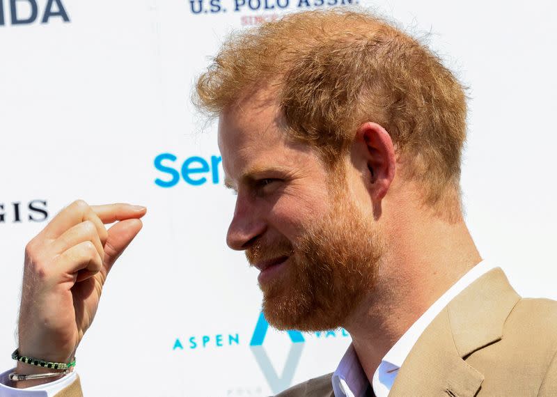 FILE PHOTO: Britain's Prince Harry, competes in the ISPS Handa Polo Cup, in Carbondale