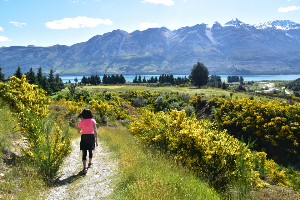 This Dec. 23, 2019, photo shows a hiker descending from Mt. Judah on a trail lined with yellow wildflowers near the town of Glenorchy, New Zealand. (Malcolm Foster via AP)