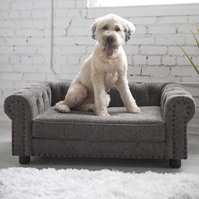 best dog beds petmate la z boy newton sofa