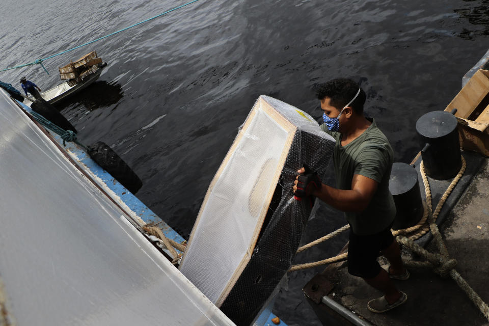 FILE - In this May 8, 2020 file photo, a docker helps to unload one of hundreds of coffins at the Roadway port in Manaus, Brazil. Brazil has Latin America's highest COVID-19 death toll. The country's hardest hit major city per capita is in the Amazon — Manaus, where mass graves are filling up with bodies. (AP Photo/Edmar Barros, File)