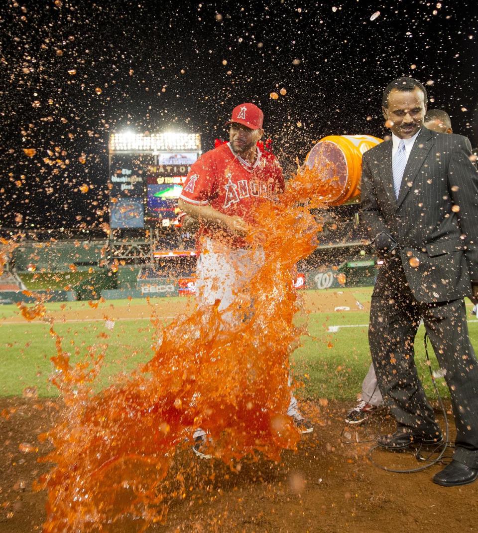 Los Angeles Angels Albert Pujols is showered with a buckle of Gatorade by his teammates during on on-air interview following game against theWashington Nationals, Tuesday, April 22, 2014 in Washington. Pujols hit his 499th and 500th career homer in a game won by the Angels 7-2. (AP Photo/Pablo Martinez Monsivais)