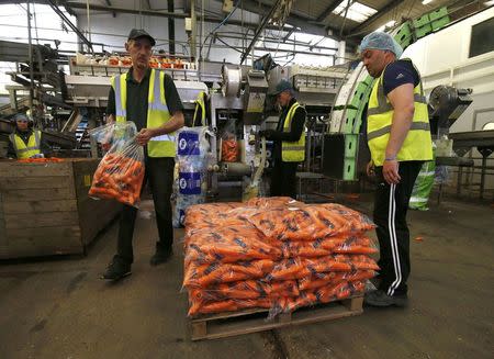 Workers sort carrots at Poskitts farm in Goole, Britain May 23, 2016. REUTERS/Andrew Yates