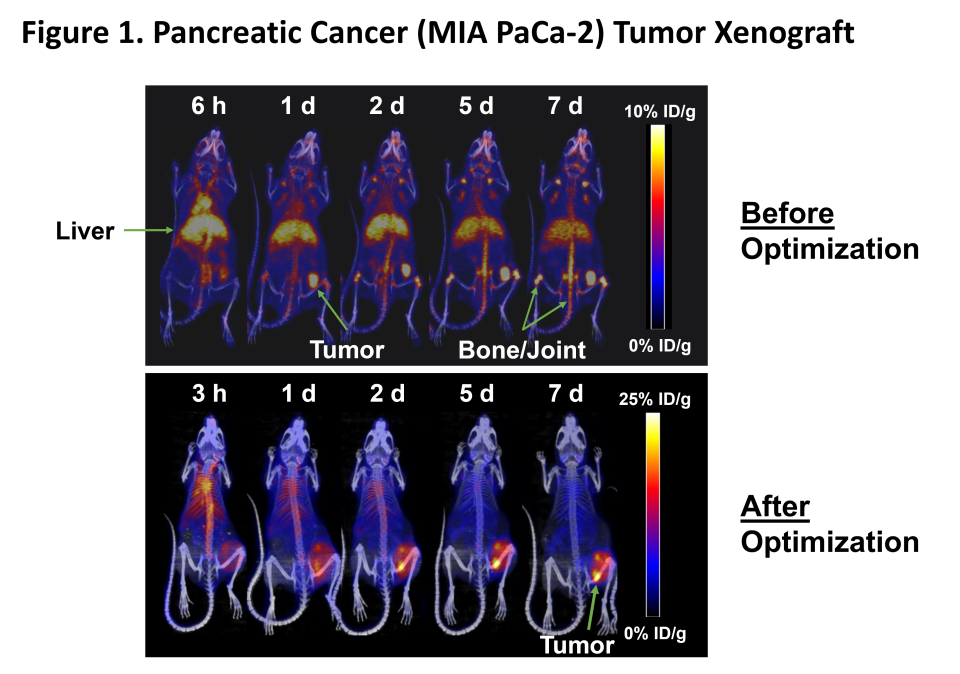 Pancreatic Cancer (MIA-PaCa-2) Tumor Xenograft
