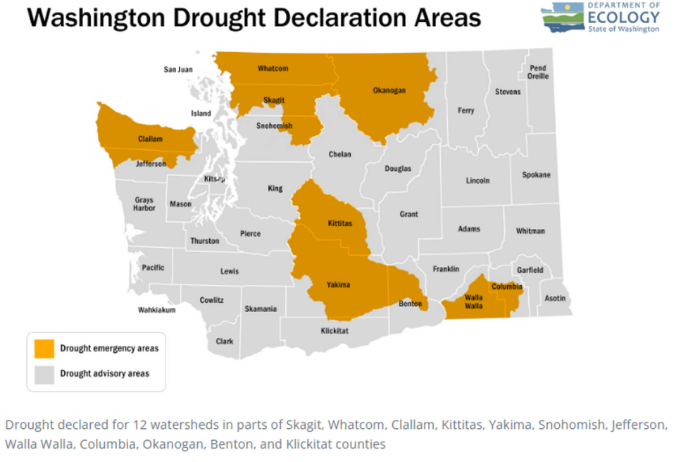 The Washington state Department of Ecology declared an emergency drought in 12 counties July 24, 2023. Department of Ecology