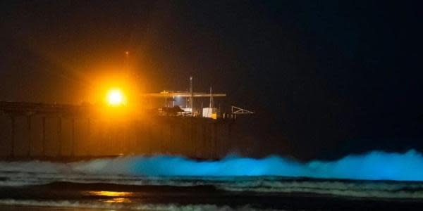 VIDEO: ¡Disfruta de olas bioluminiscentes en Playas de San Diego!