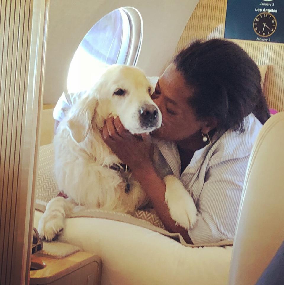 Also getting first class treatment in flight? Oprah's pup Luke, who was captured by Oprah's pal Gayle King getting a calming snuggle from his A-list dog mom.