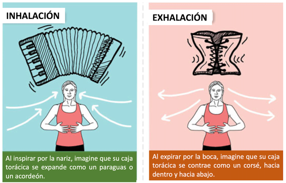 FIGURA 2 - Representación infográfica de la respiración Pilates. Pilates Illustrated, by Portia Page, Human Kinetics, 2011, adaptación de Matilde Cañelles