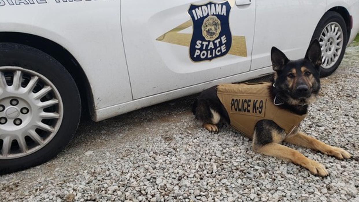 <div>Indiana State Police K9 Kia gifted new body armor</div>