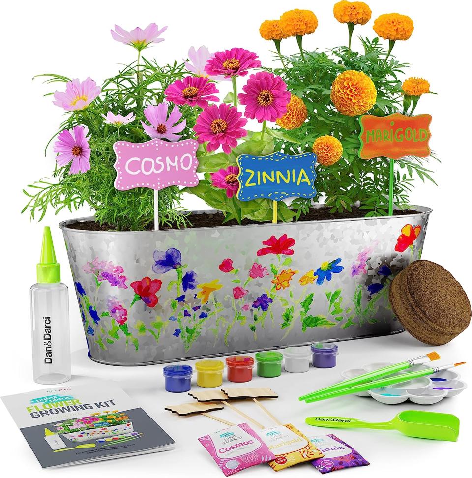 Paint & Plant Flower Growing Kit. Image via Amazon.